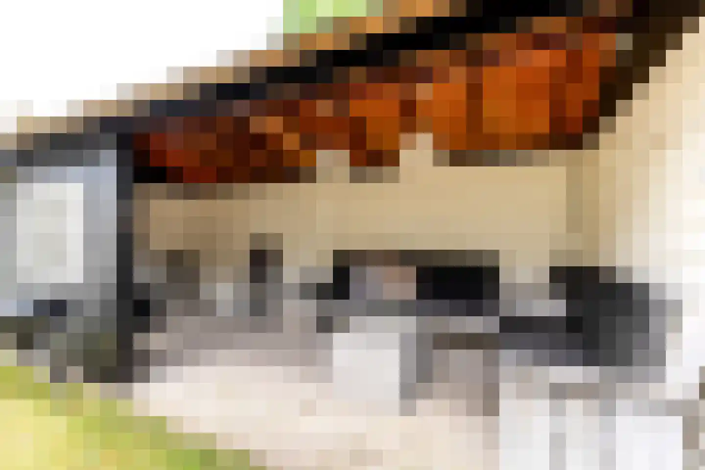 't Heike 26 Helvoirt thumbnail 27