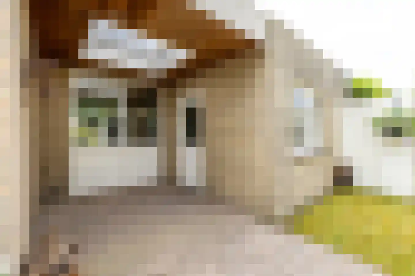 't Heike 26 Helvoirt thumbnail 33
