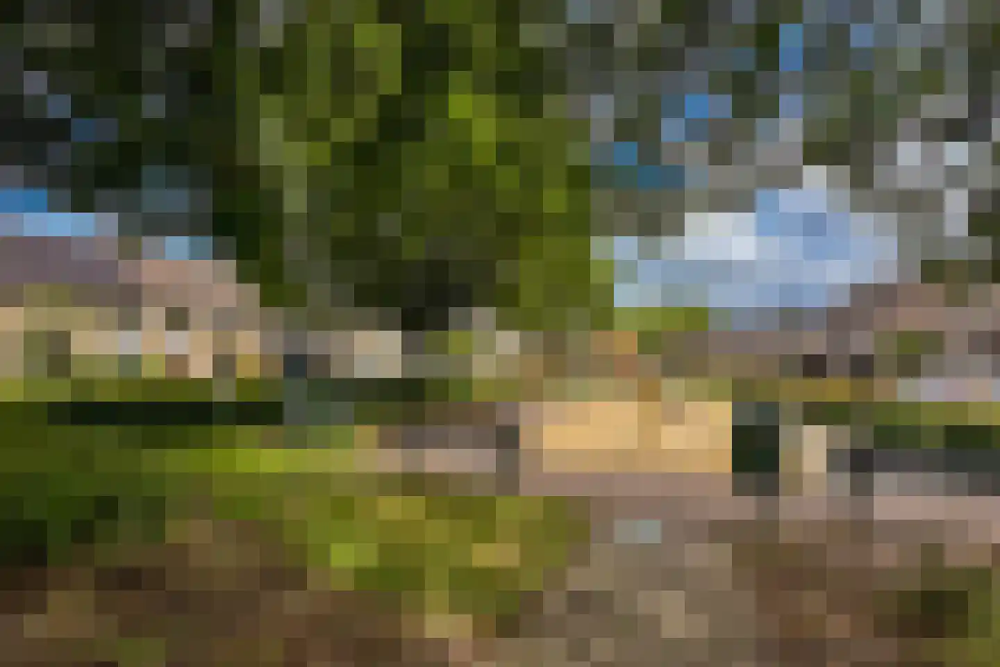 't Heike 26 Helvoirt thumbnail 39