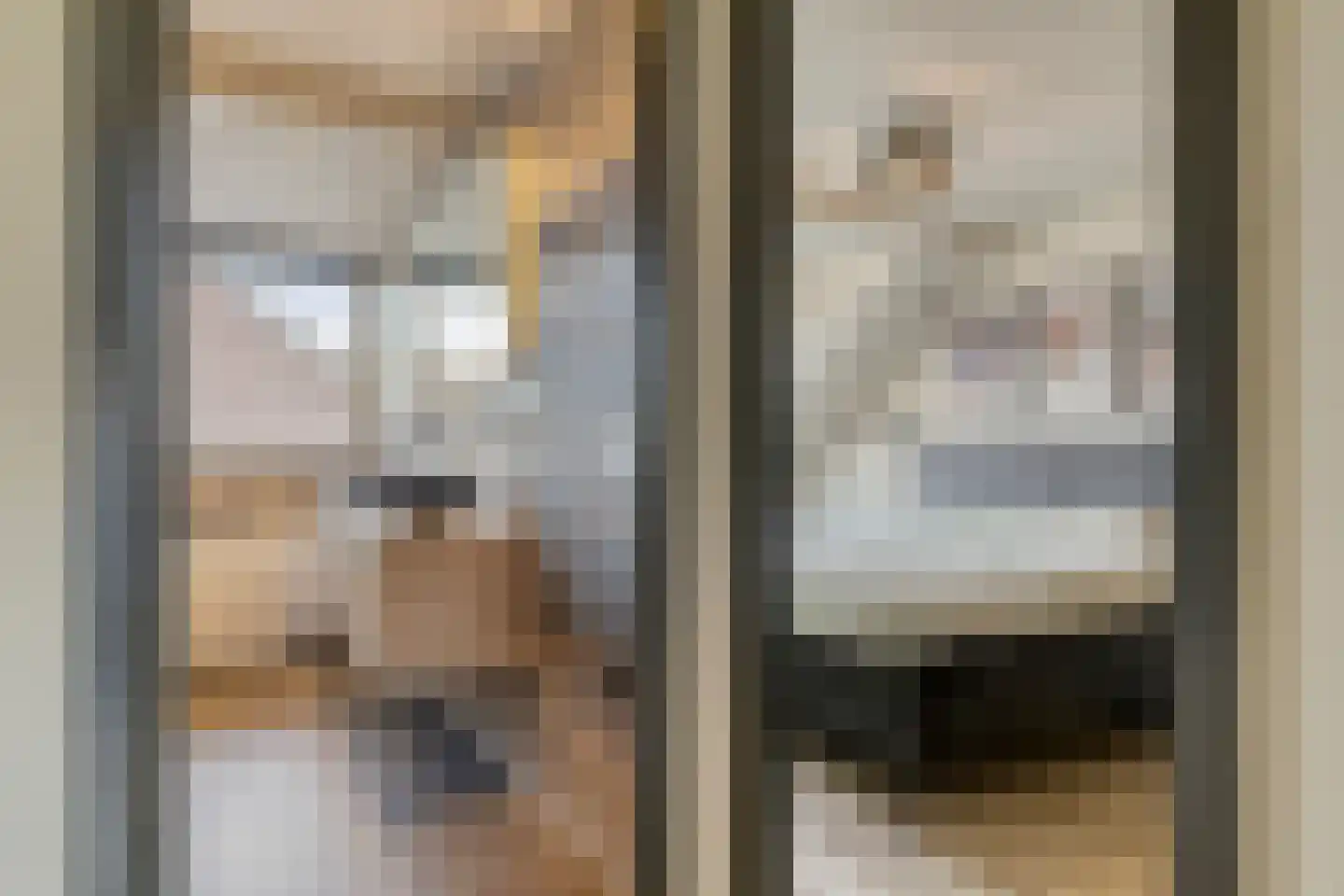 't Hennetje 1 Werkhoven thumbnail 17