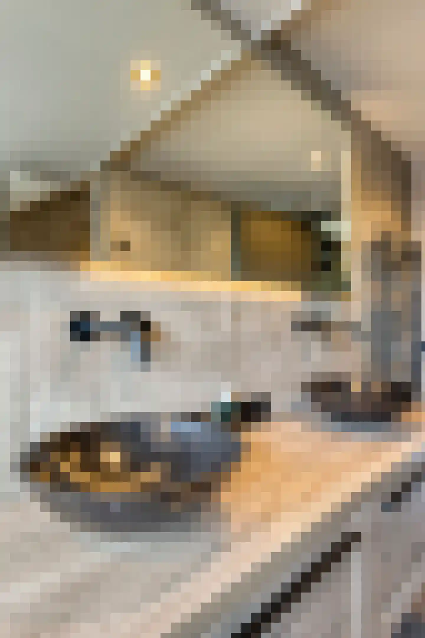 't Hennetje 1 Werkhoven thumbnail 21