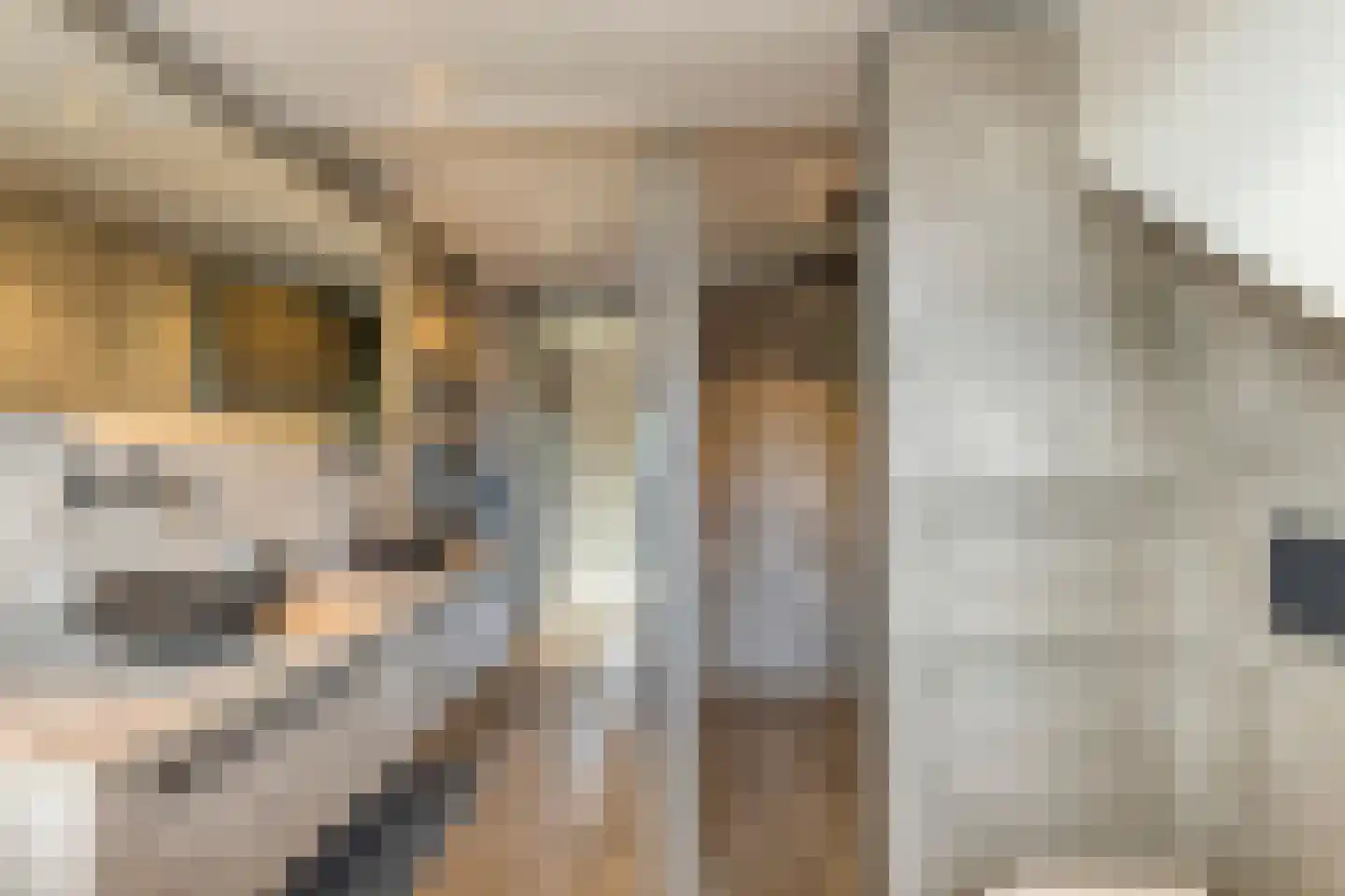 't Hennetje 1 Werkhoven thumbnail 22