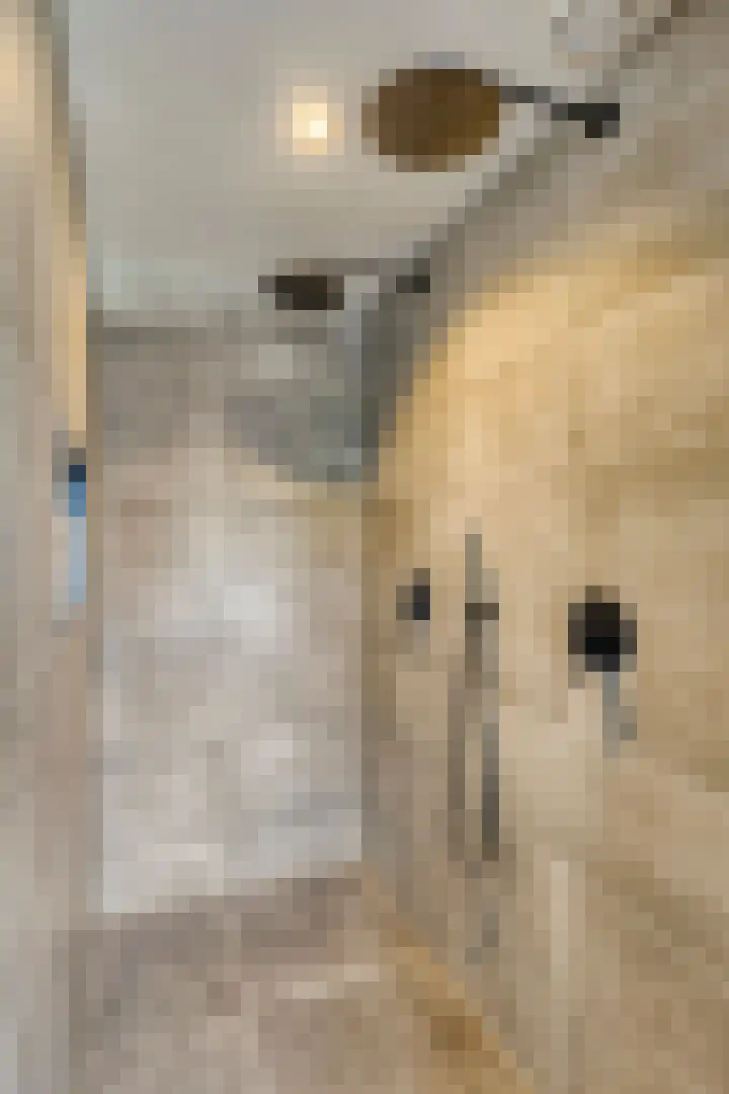 't Hennetje 1 Werkhoven thumbnail 23