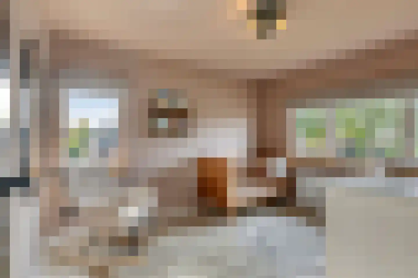 't Hennetje 1 Werkhoven thumbnail 24