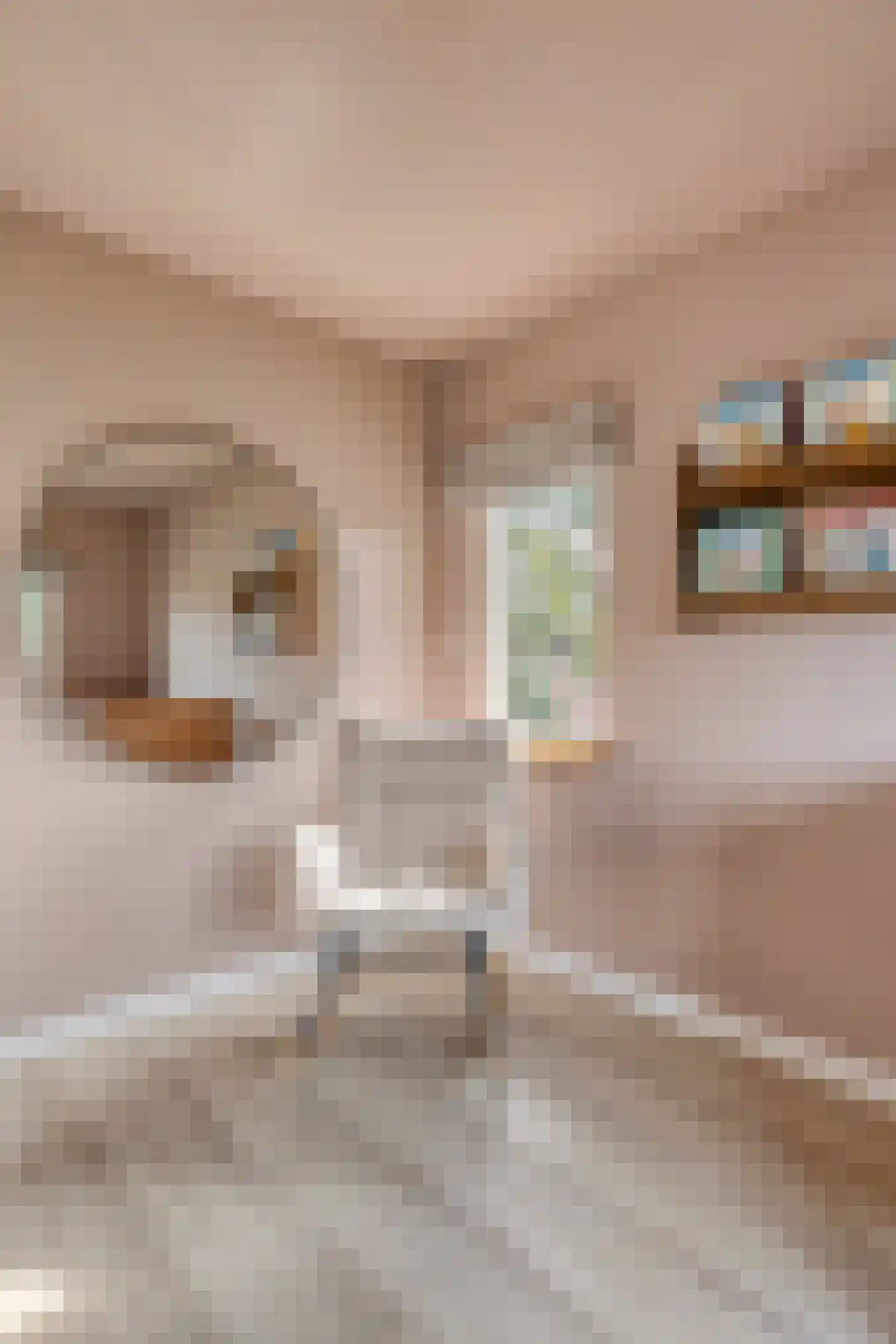 't Hennetje 1 Werkhoven thumbnail 25