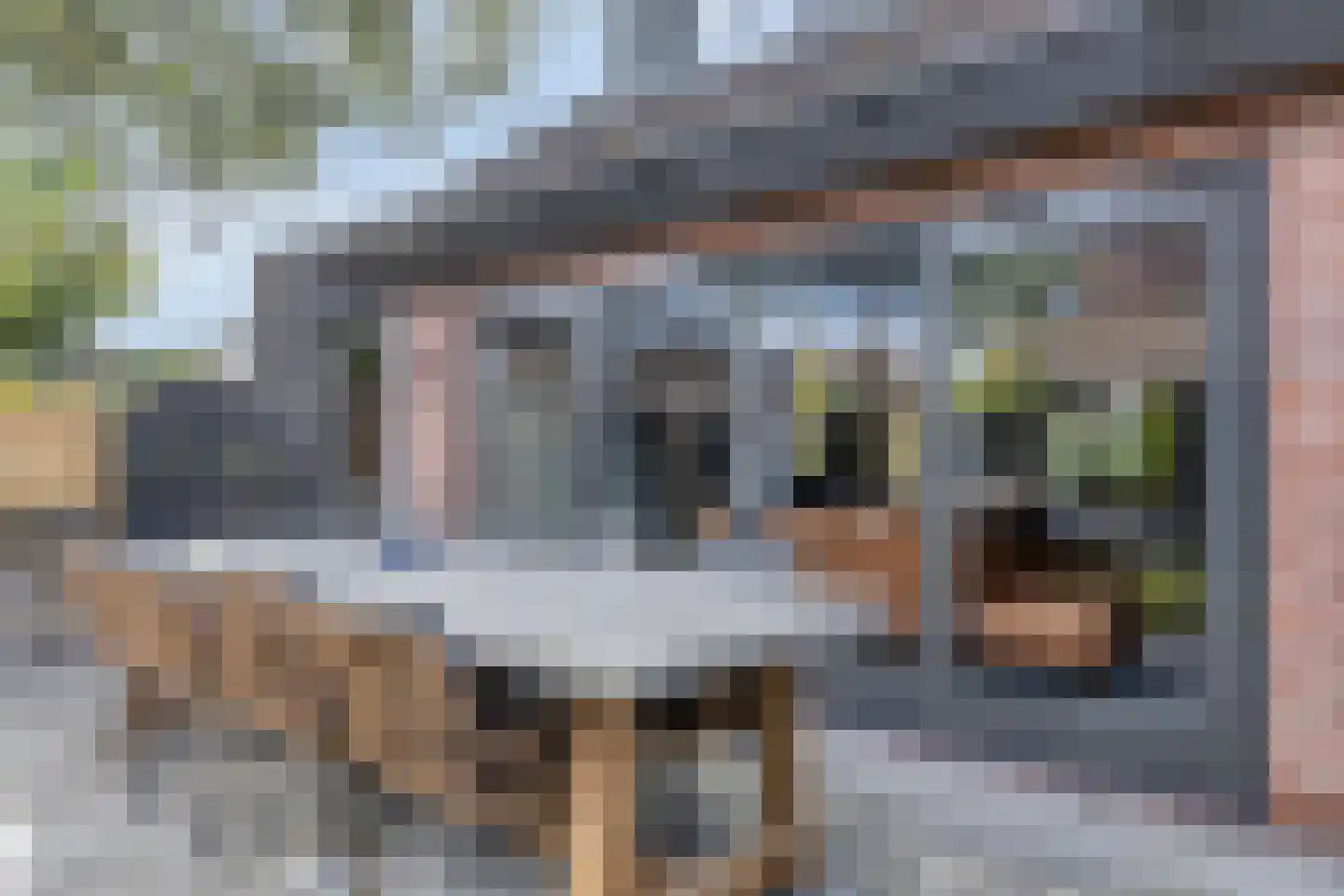 't Hennetje 1 Werkhoven thumbnail 35