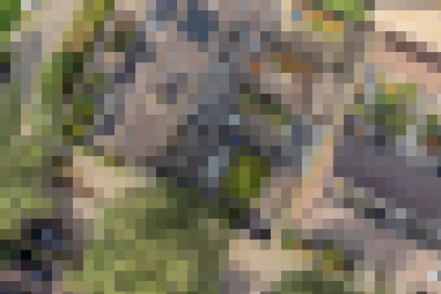 't Hennetje 1 Werkhoven thumbnail 38