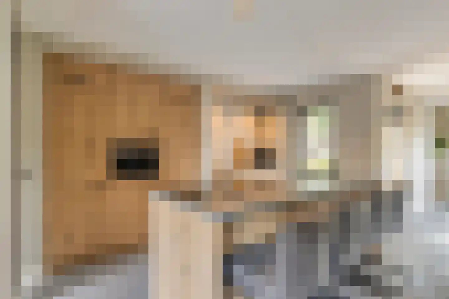 't Hennetje 1 Werkhoven thumbnail 6