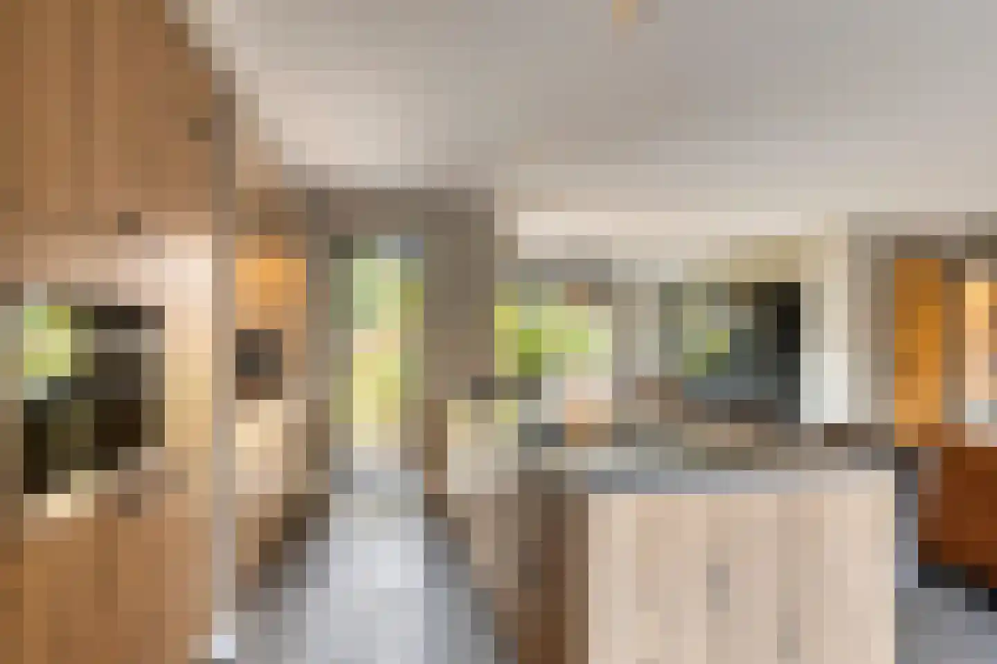 't Hennetje 1 Werkhoven thumbnail 7