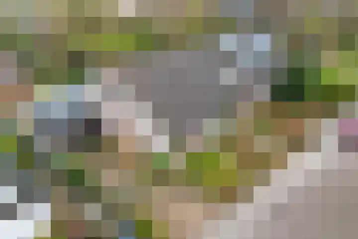 't Herberchsfintsje 1 Tytsjerk