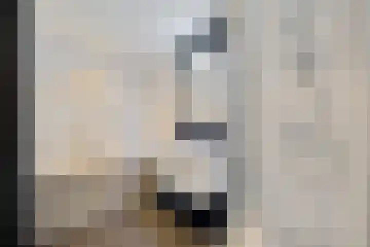 't Herberchsfintsje 1 Tytsjerk thumbnail 16