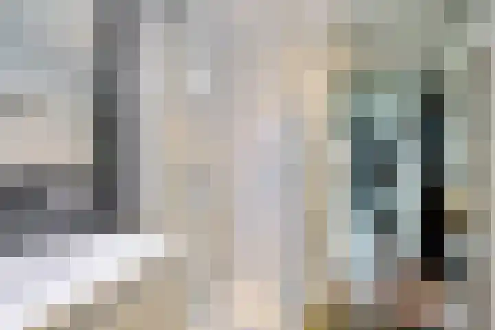 't Herberchsfintsje 1 Tytsjerk thumbnail 17
