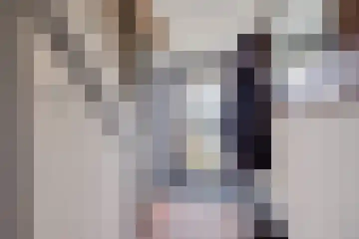 't Herberchsfintsje 1 Tytsjerk thumbnail 18