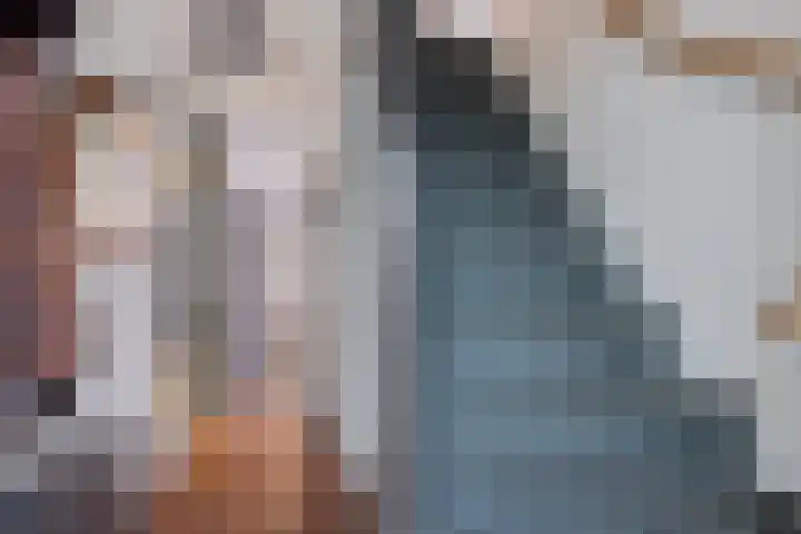 't Herberchsfintsje 1 Tytsjerk thumbnail 19