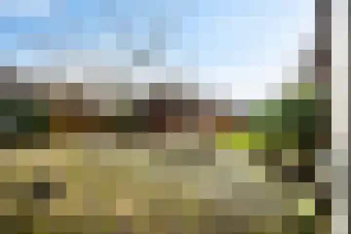 't Herberchsfintsje 1 Tytsjerk thumbnail 28