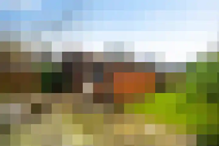 't Herberchsfintsje 1 Tytsjerk thumbnail 30