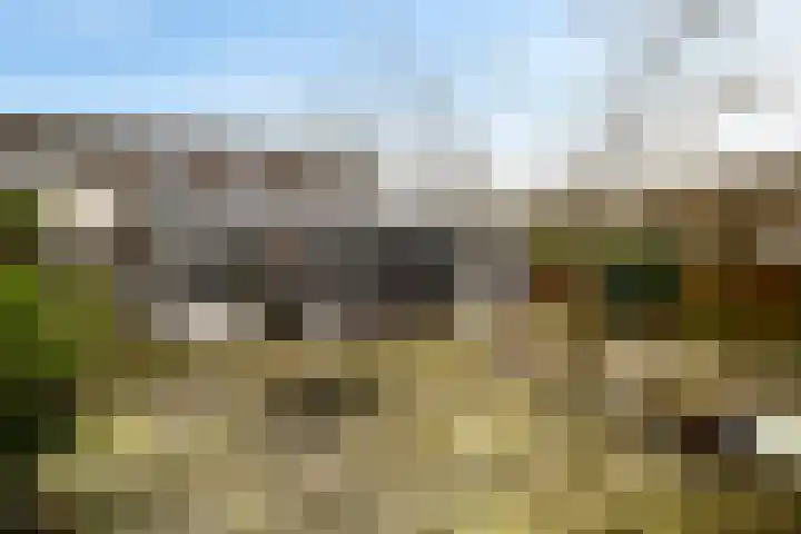 't Herberchsfintsje 1 Tytsjerk thumbnail 31