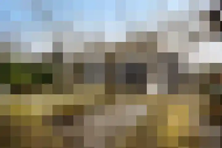 't Herberchsfintsje 1 Tytsjerk thumbnail 32
