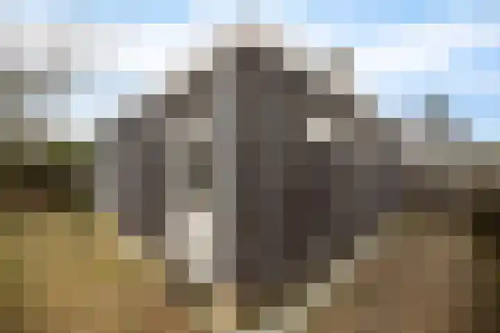 't Herberchsfintsje 1 Tytsjerk thumbnail 33