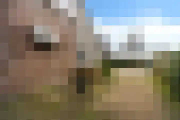 't Herberchsfintsje 1 Tytsjerk thumbnail 34