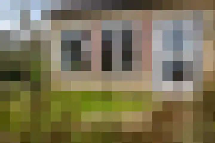 't Herberchsfintsje 1 Tytsjerk thumbnail 36
