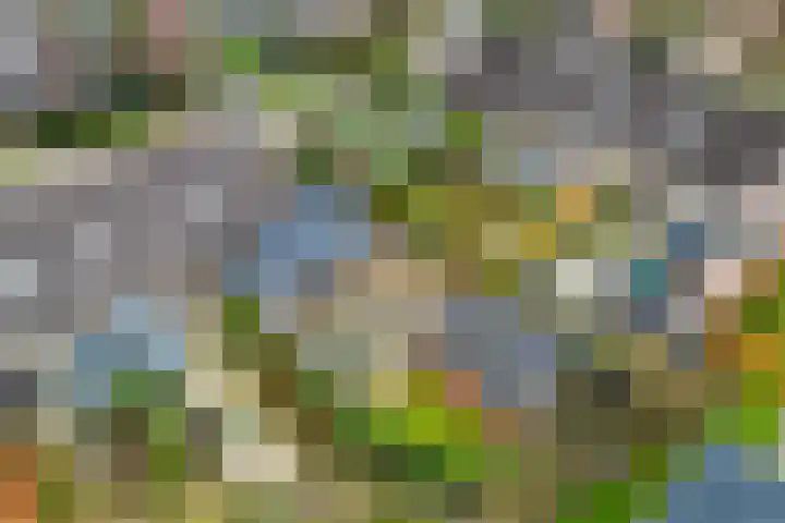 't Herberchsfintsje 1 Tytsjerk thumbnail 37