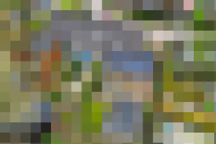 't Herberchsfintsje 1 Tytsjerk thumbnail 38