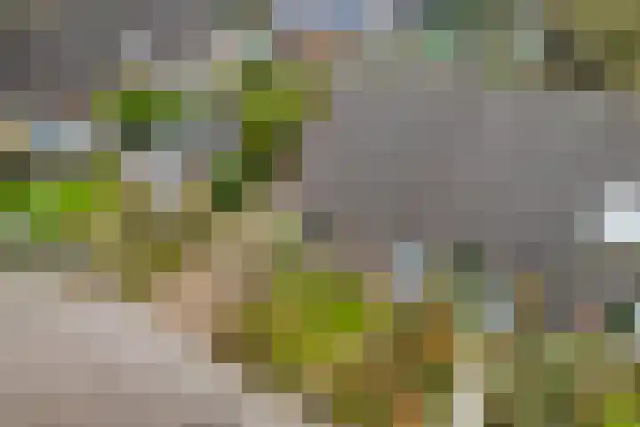 't Herberchsfintsje 1 Tytsjerk thumbnail 39