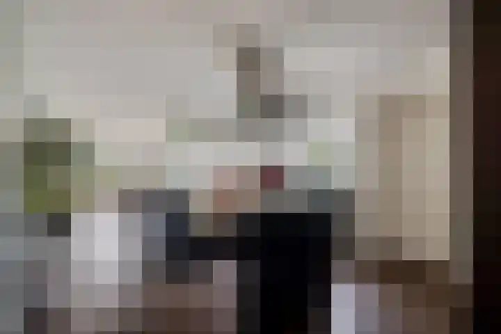 't Herberchsfintsje 1 Tytsjerk thumbnail 4