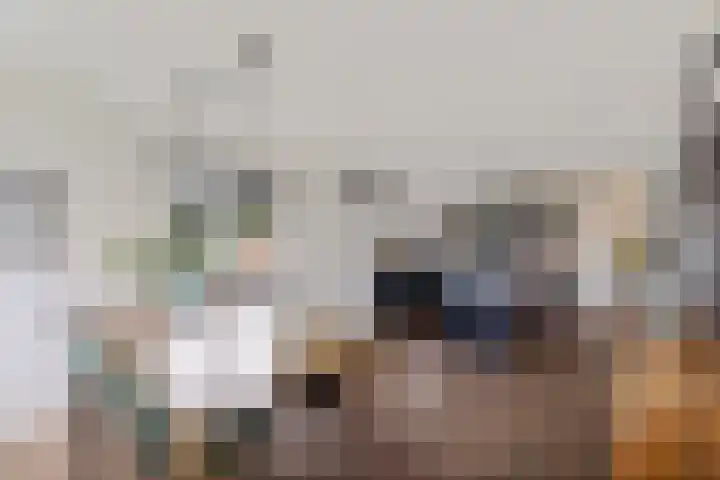 't Herberchsfintsje 1 Tytsjerk thumbnail 7