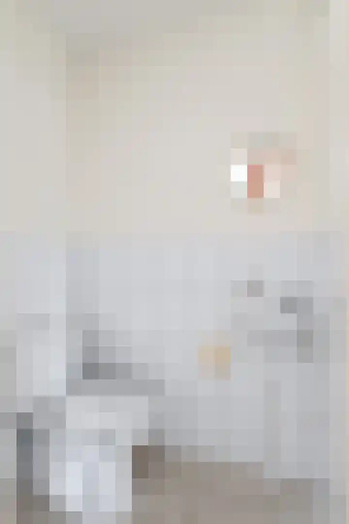 't Herberchsfintsje 14 Tytsjerk thumbnail 15