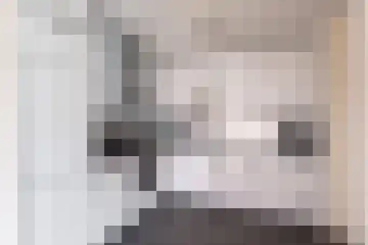 't Herberchsfintsje 14 Tytsjerk thumbnail 29