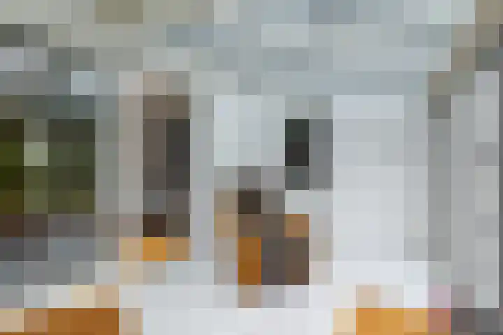 't Herberchsfintsje 14 Tytsjerk thumbnail 30