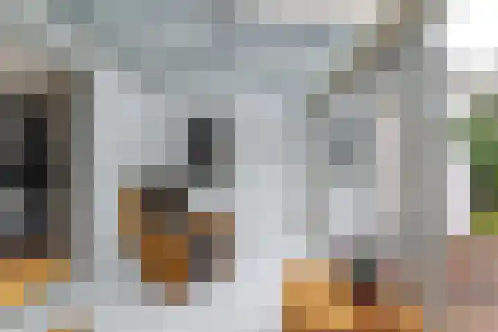 't Herberchsfintsje 14 Tytsjerk thumbnail 31