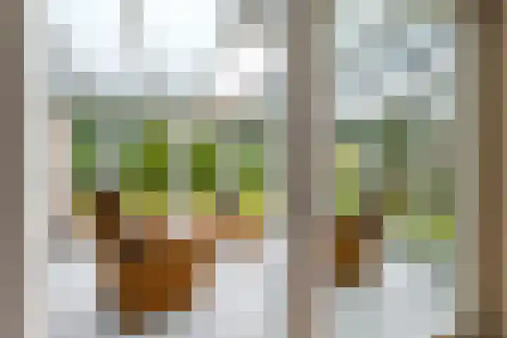 't Herberchsfintsje 14 Tytsjerk thumbnail 33