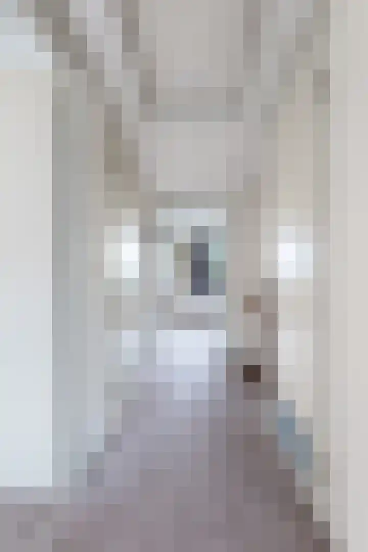 't Herberchsfintsje 14 Tytsjerk thumbnail 36