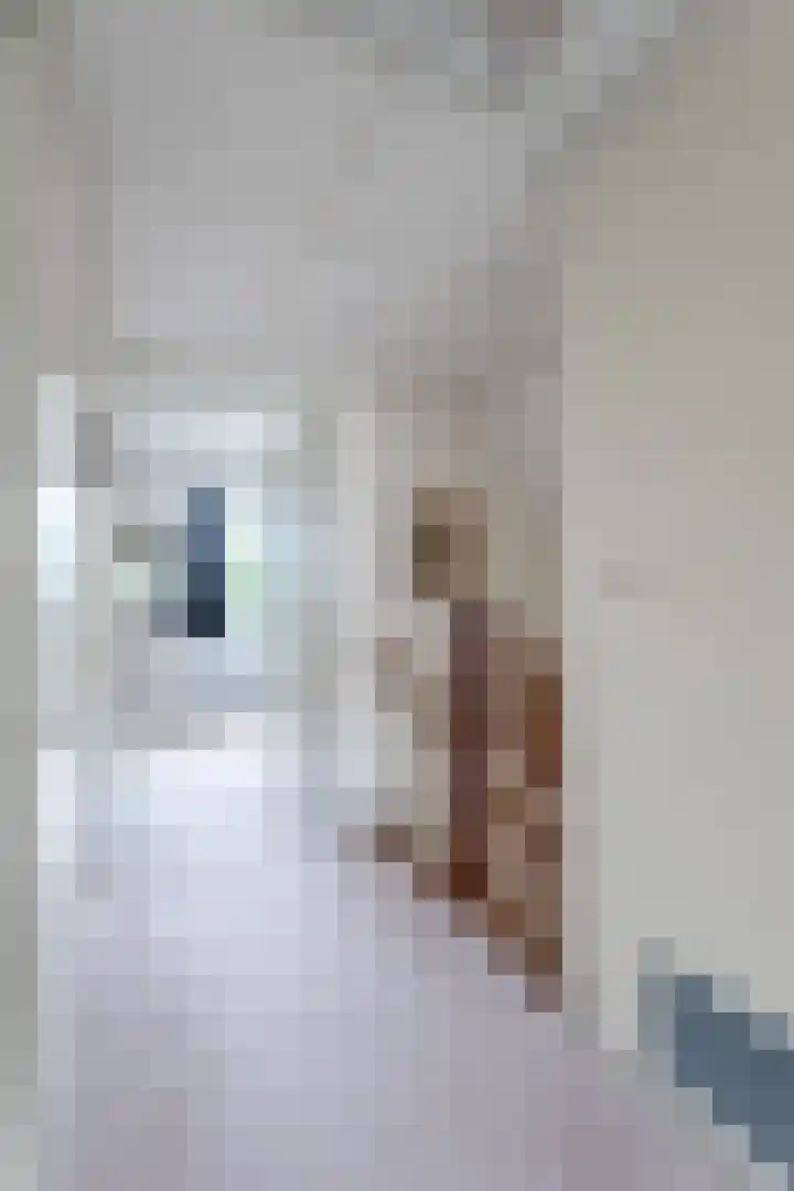 't Herberchsfintsje 14 Tytsjerk thumbnail 37