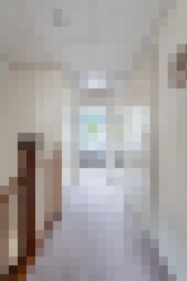 't Herberchsfintsje 14 Tytsjerk thumbnail 38