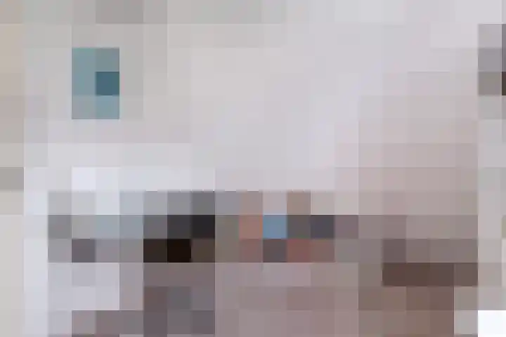 't Herberchsfintsje 14 Tytsjerk thumbnail 39