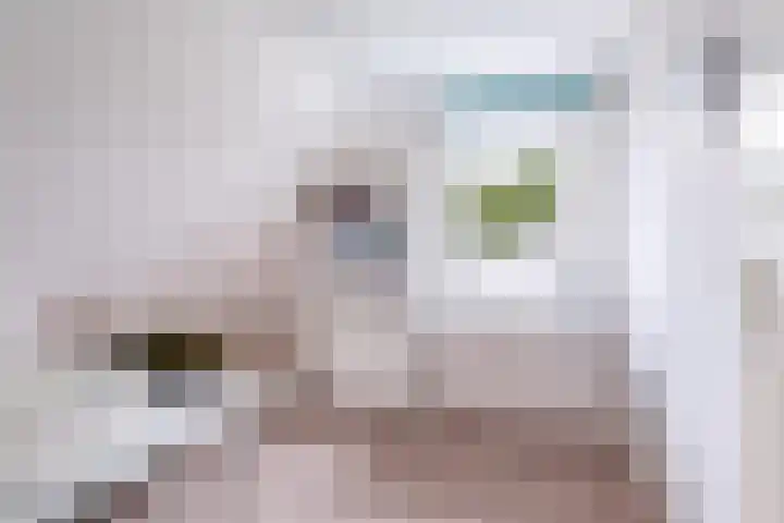 't Herberchsfintsje 14 Tytsjerk thumbnail 40