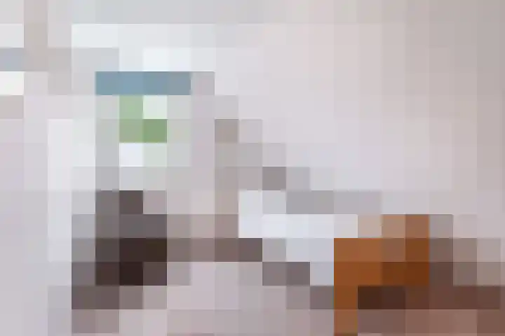 't Herberchsfintsje 14 Tytsjerk thumbnail 42