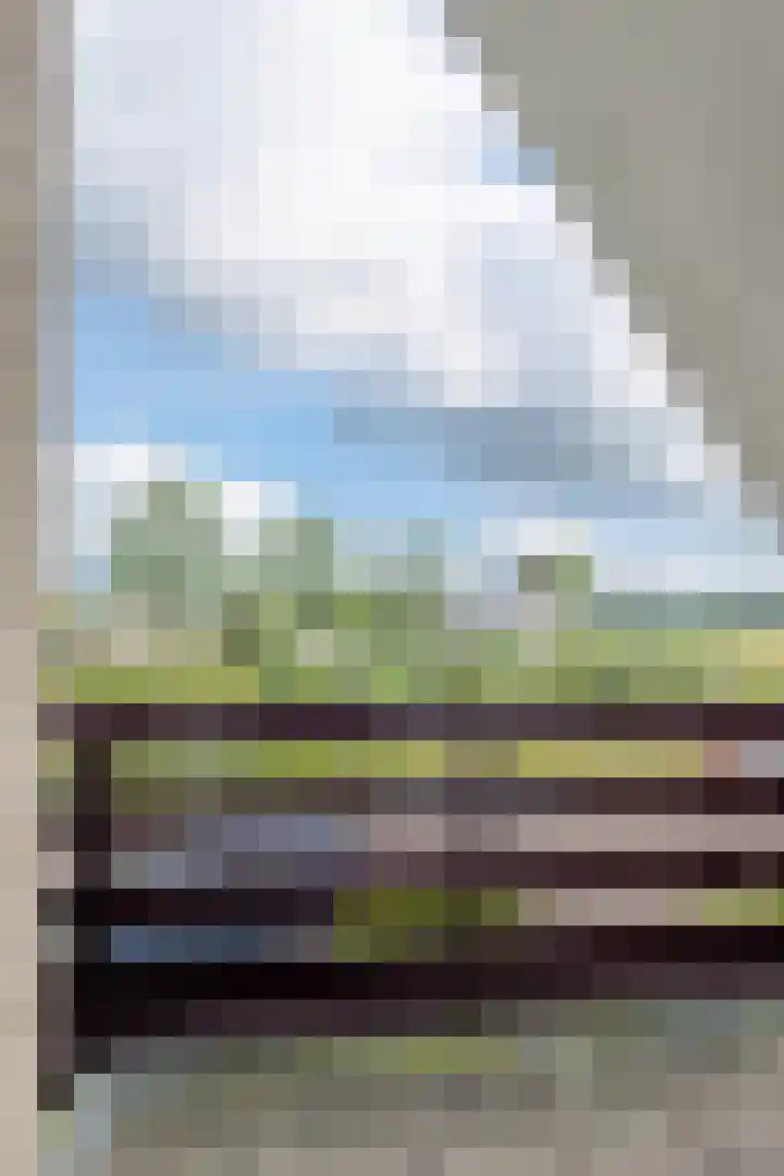't Herberchsfintsje 14 Tytsjerk thumbnail 43