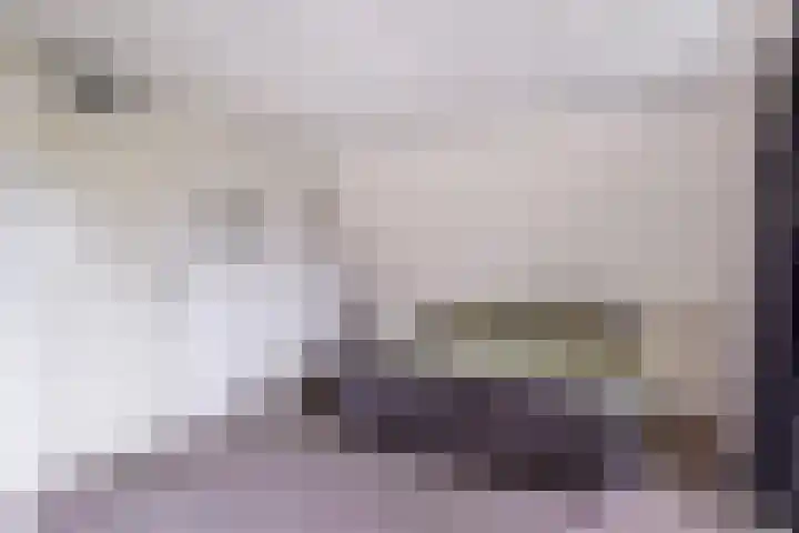 't Herberchsfintsje 14 Tytsjerk thumbnail 44
