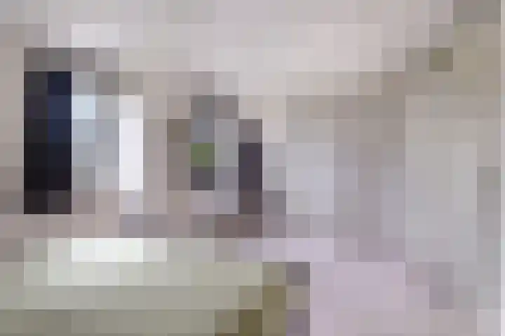 't Herberchsfintsje 14 Tytsjerk thumbnail 45