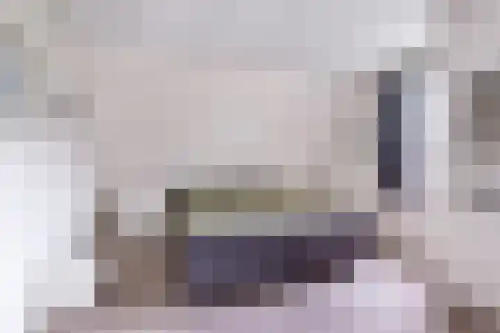 't Herberchsfintsje 14 Tytsjerk thumbnail 46