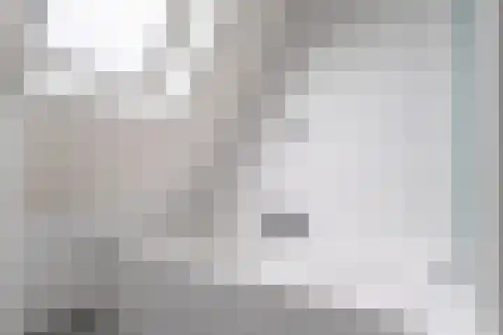 't Herberchsfintsje 14 Tytsjerk thumbnail 48