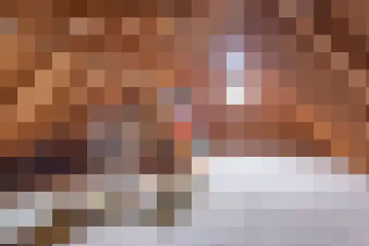 't Herberchsfintsje 14 Tytsjerk thumbnail 52