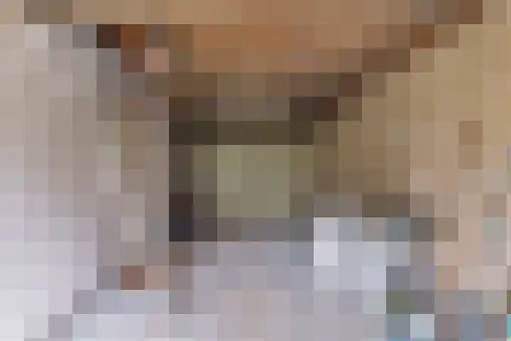't Herberchsfintsje 14 Tytsjerk thumbnail 53