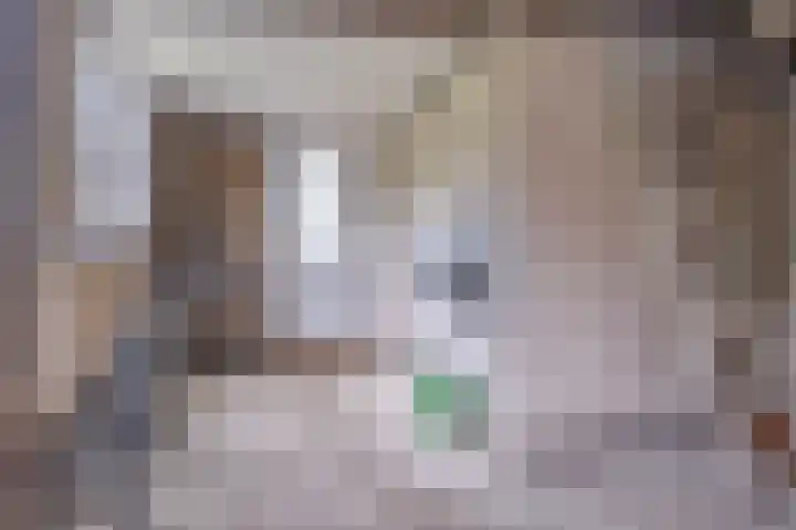 't Herberchsfintsje 14 Tytsjerk thumbnail 54
