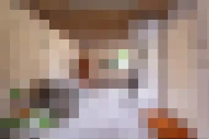 't Herberchsfintsje 14 Tytsjerk thumbnail 55